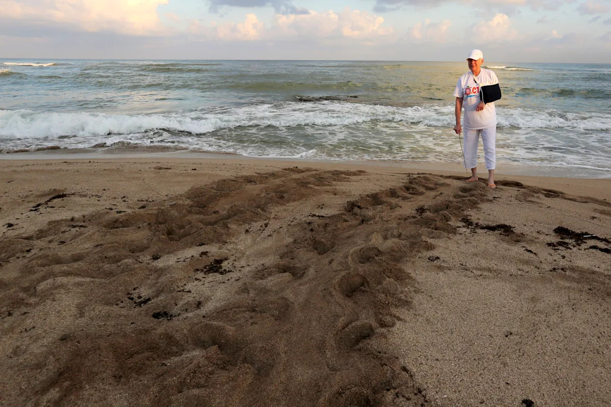 Mourners gather to remember Lebanese conservationist killed by Israel