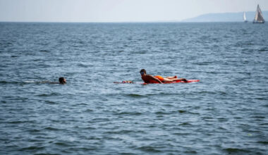 Lifeguard paddles toward screaming swimmer as 11-foot shark drags her underwater off Sydney beach