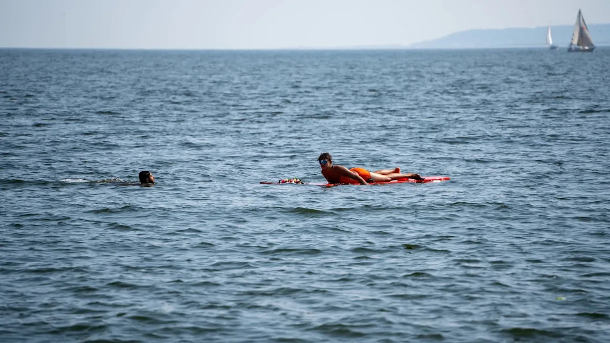 Lifeguard paddles toward screaming swimmer as 11-foot shark drags her underwater off Sydney beach