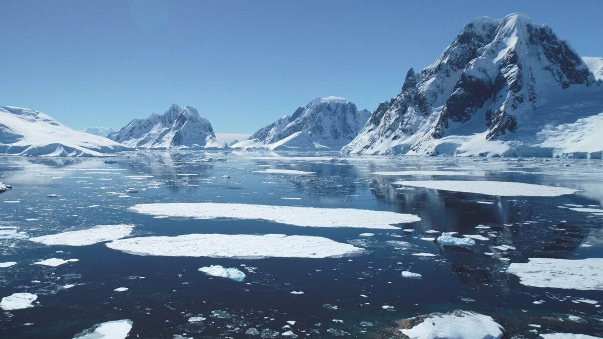 ‘This Is Absolutely Crazy’: Antarctic Temperatures Hit a Record High This Month