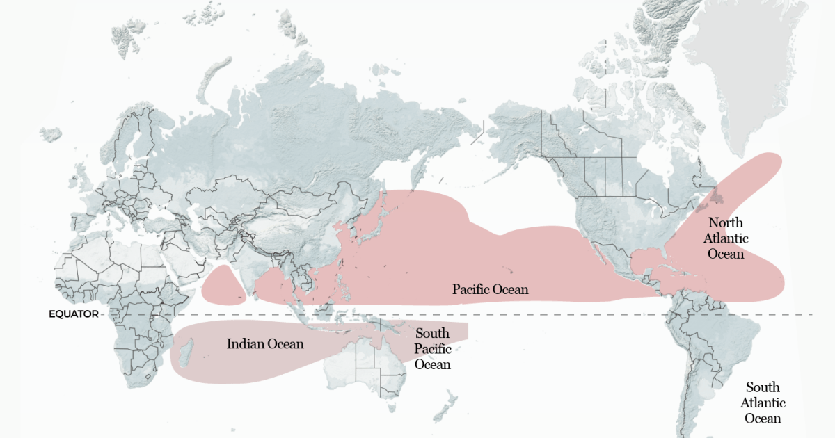 How could El Nino reshape tropical storms around the world this year? | Climate News