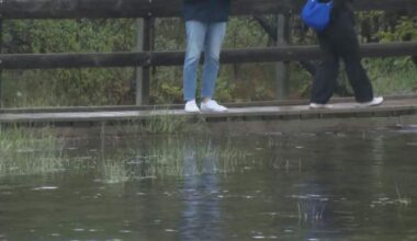 Heavy rainfall, snowpack melt has Canmore dealing with localized flooding