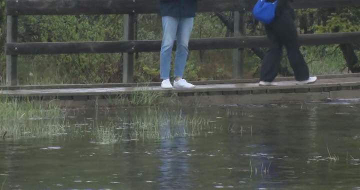 Heavy rainfall, snowpack melt has Canmore dealing with localized flooding