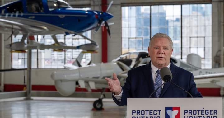 Margaret Atwood joins chorus of figures opposing Toronto island airport expansion - Toronto