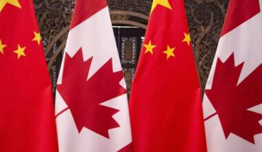 China slaps 73.5% preliminary tariff on pea starch from Canada