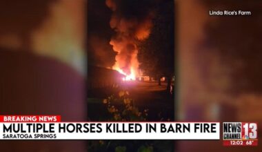 Approximately 17 horses killed in barn fire at Saratoga Harness Track