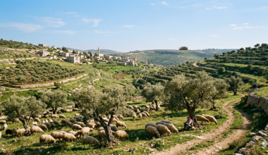 The Blogs: What are You Doing Here? | Harriet Gimpel