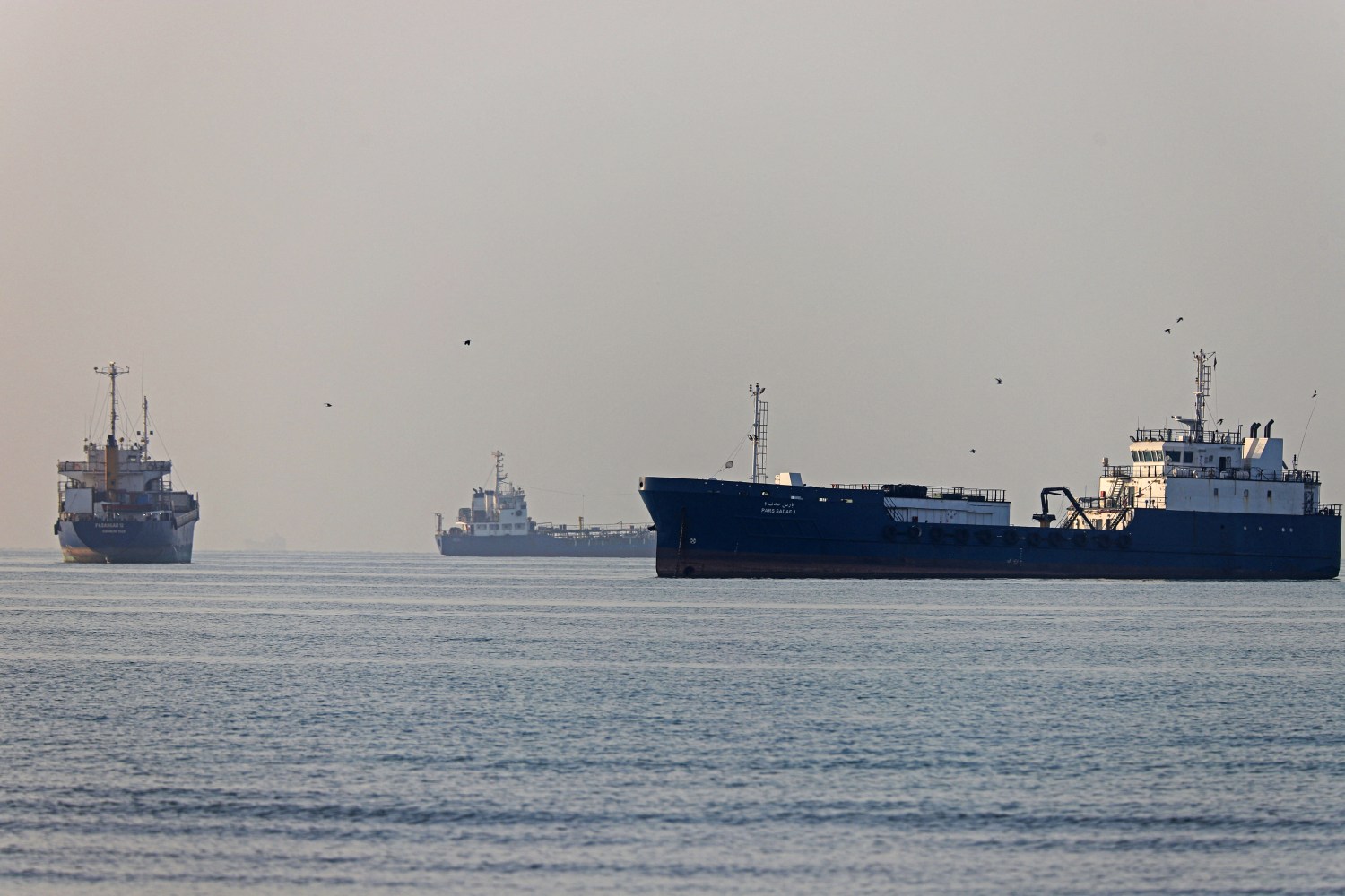 Three commercial cargo ships are anchored in calm coastal waters under an overcast sky.