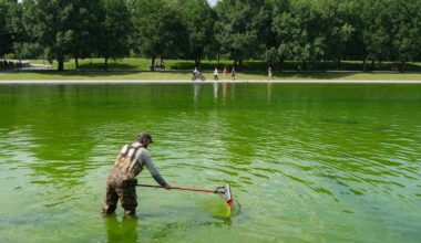 Even the Internet’s Favorite Pool Guy Doesn’t Know How to Fix the Reflecting Pool