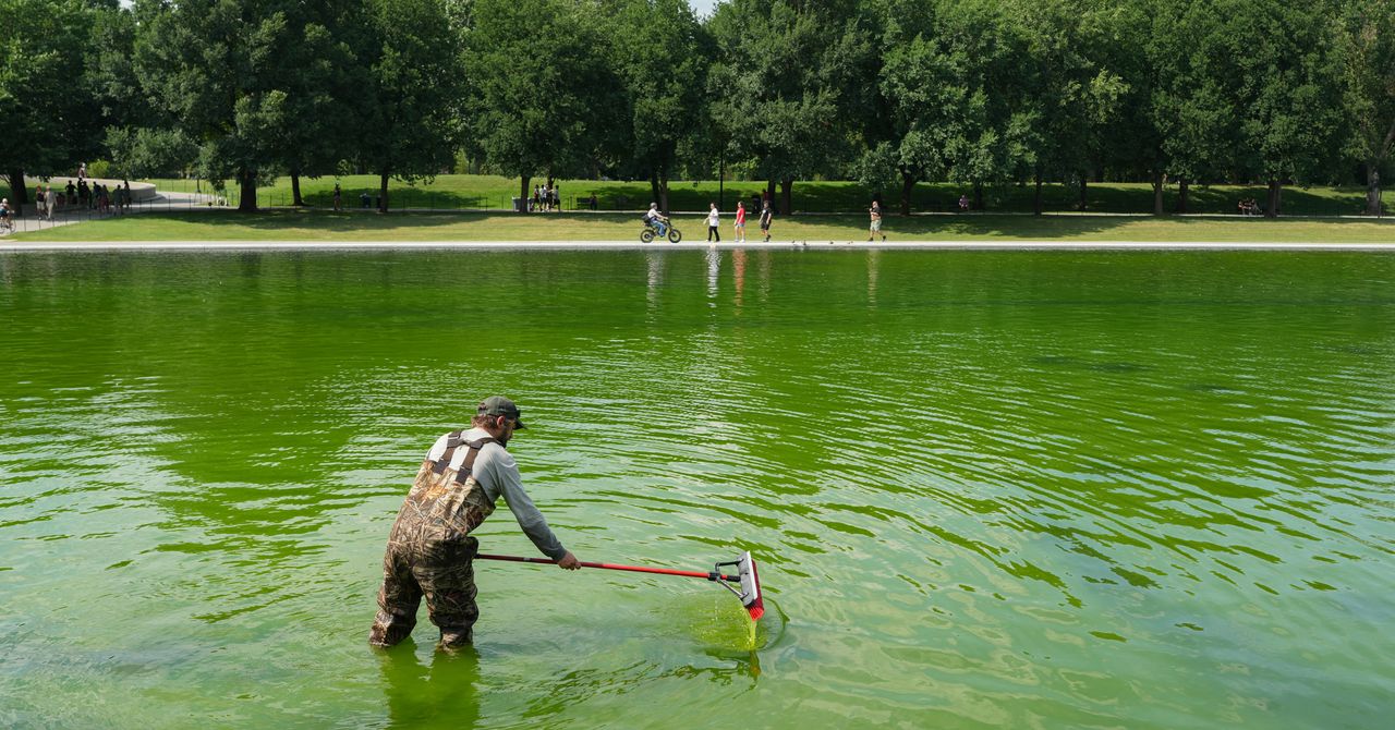 Even the Internet’s Favorite Pool Guy Doesn’t Know How to Fix the Reflecting Pool