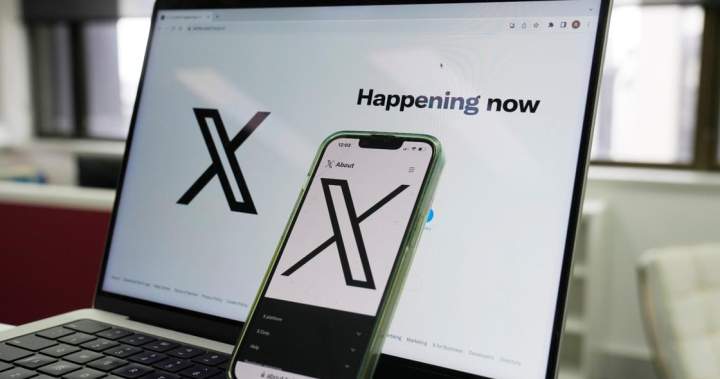 Grok AI broke Canada’s laws, created 6K sexual deepfakes per hour: probe - National