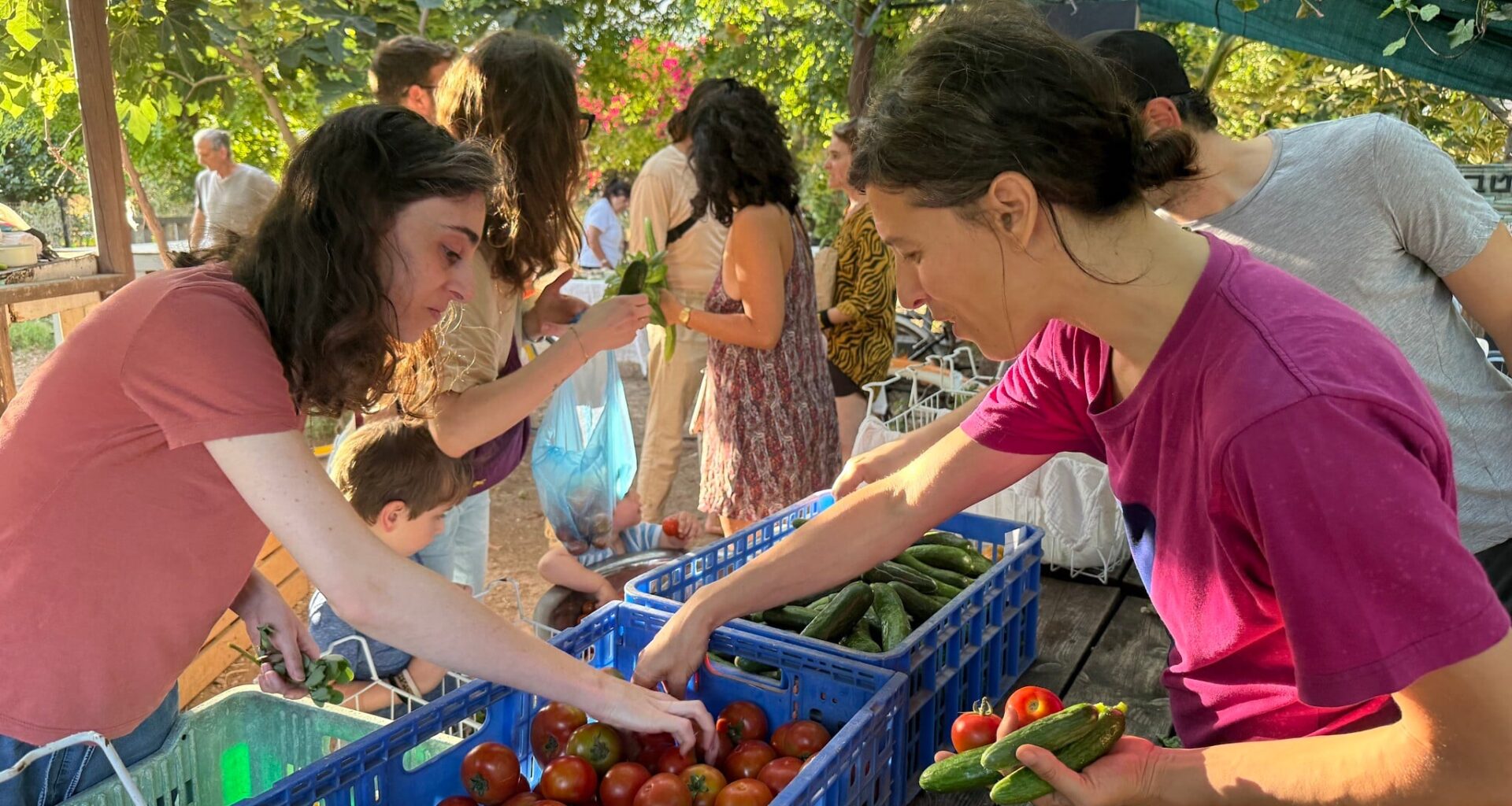 Browsing vegetables for sale at Lira Shapira's Tel Hubbes garden in south Tel Aviv, May 28, 2026. (Sue Surkes/Times of Israel)