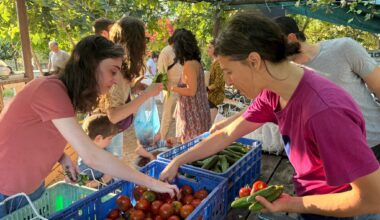 Browsing vegetables for sale at Lira Shapira's Tel Hubbes garden in south Tel Aviv, May 28, 2026. (Sue Surkes/Times of Israel)