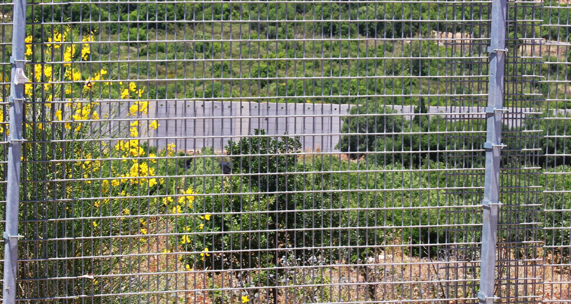 The Blogs: Israel's Red Lines despite pressure to weaken its military goals | Carrie Hart