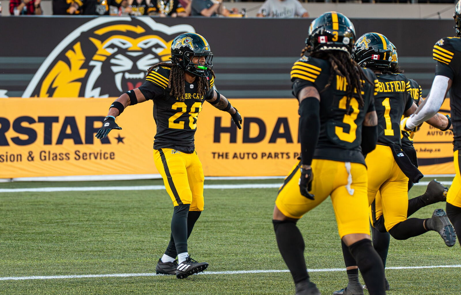 3DownNation CFL power rankings: Hamilton Tiger-Cats tumble after Week 1 loss
