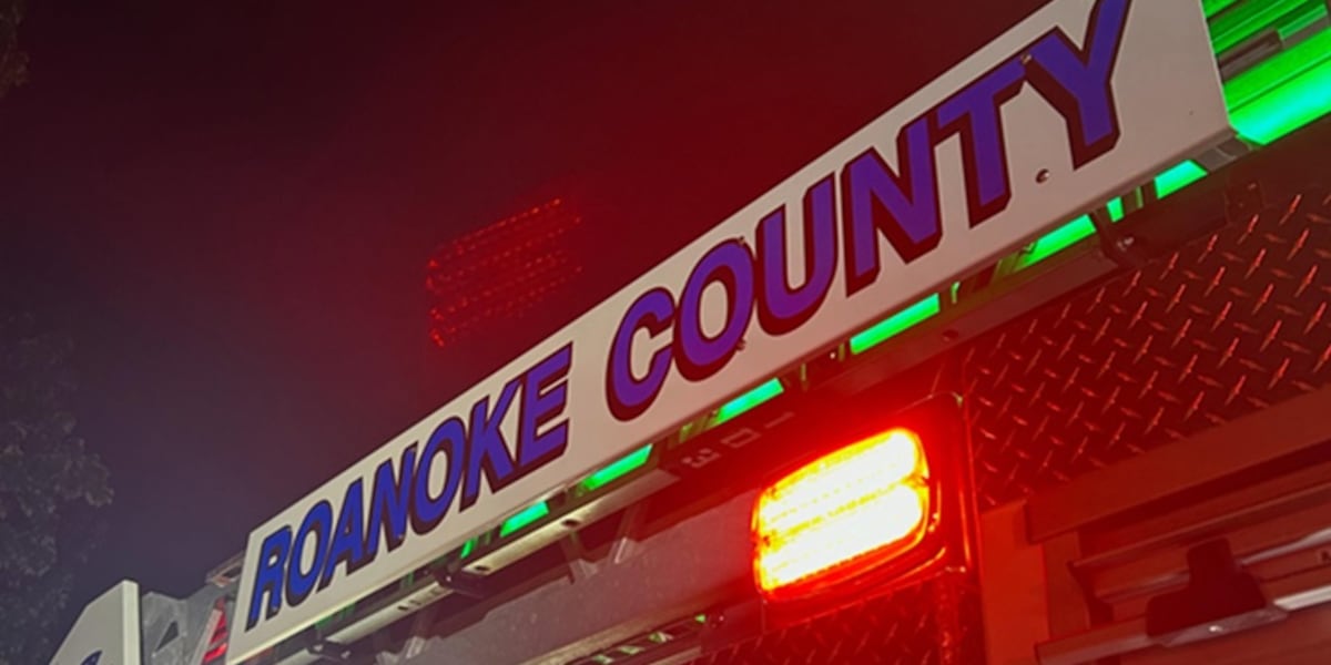 Resident injured, 59 cats found dead in Vinton house fire