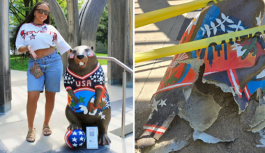 U.S.-themed World Cup beaver designed by Ottawa artist destroyed in Toronto - CTV News