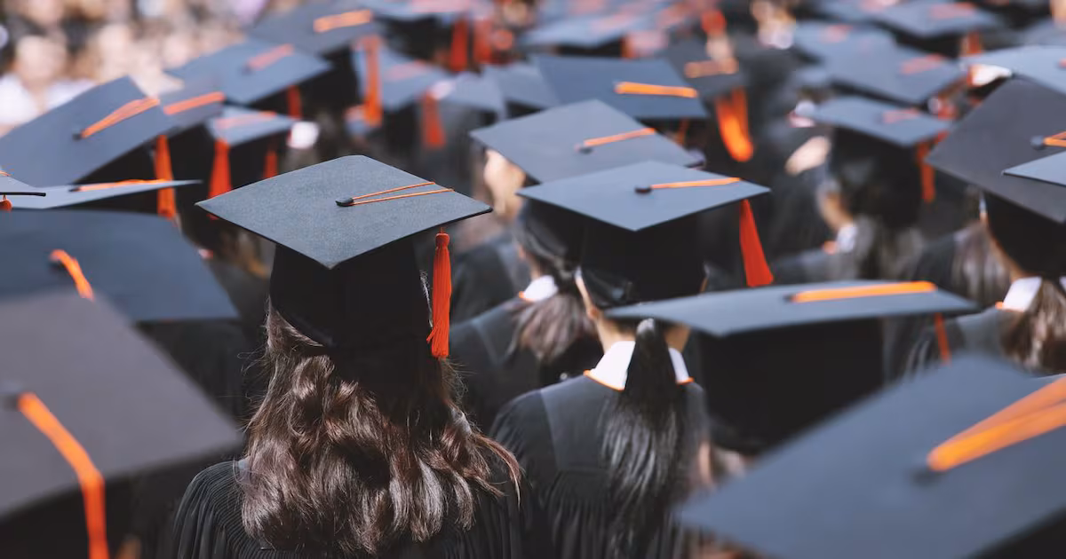 These are the fields in which Ontario will need the highest number of university graduates - CTV News