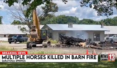 17 horses killed in barn fire at Saratoga Harness Track
