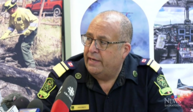 SPSA vice-president stepping down following wildfire review - CTV News