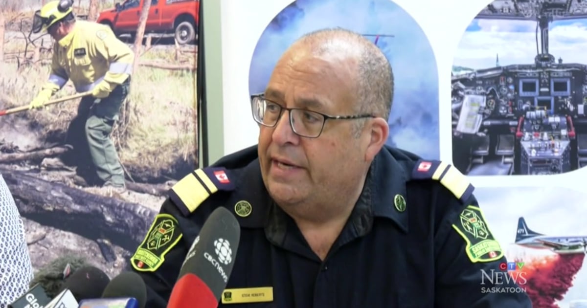 SPSA vice-president stepping down following wildfire review - CTV News