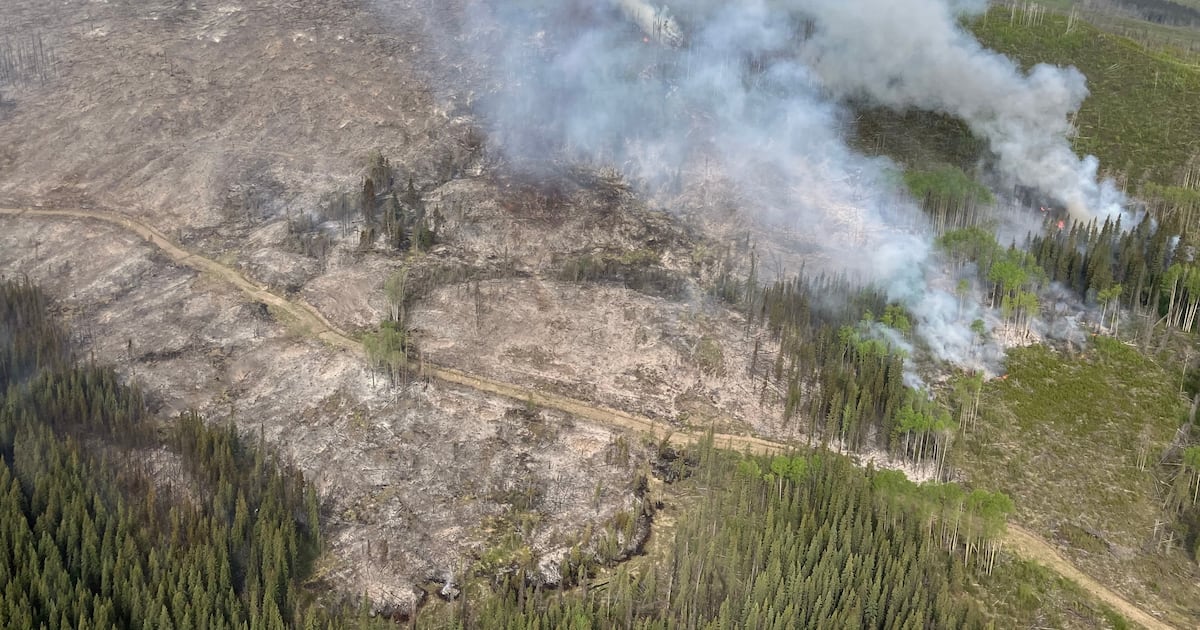 Evacuation alert issued as crews battle massive wildfire in B.C. Interior - CTV News