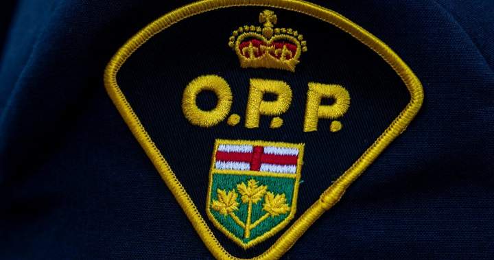 OPP officer demoted for 3 years after slapping officer’s buttock at golf event