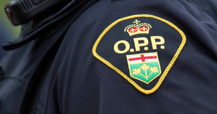 Ontario murder suspect believed to be in rural B.C.: police