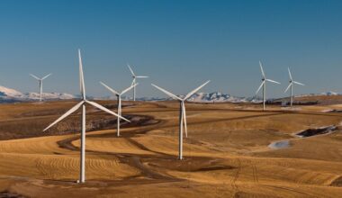 Trump Just Lost His War on Wind Energy