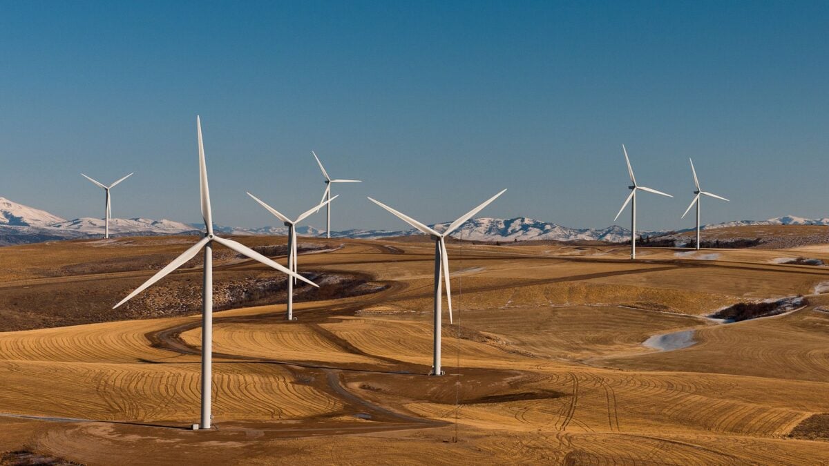Trump Just Lost His War on Wind Energy
