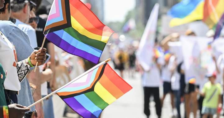 Community reacts to flag burning just days before Pride celebrations
