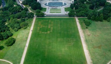 Huge ‘8647’ etched into grass on the National Mall, aerial images show - CTV News