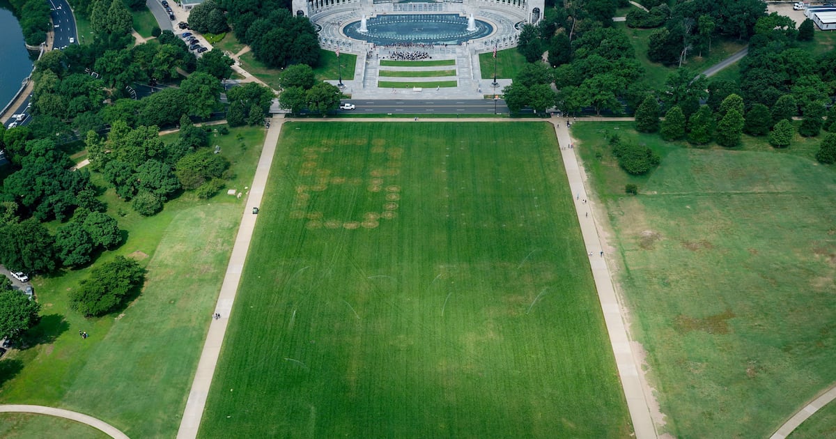 Huge ‘8647’ etched into grass on the National Mall, aerial images show - CTV News