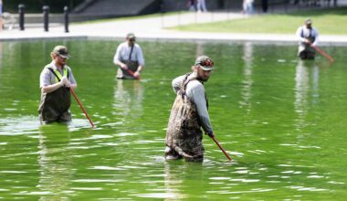 Why the Reflecting Pool Is Full of Algae After Trump's Renovation