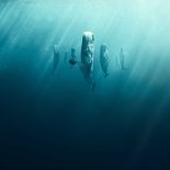 Whale With Steve Backshall - Key Art - JPG