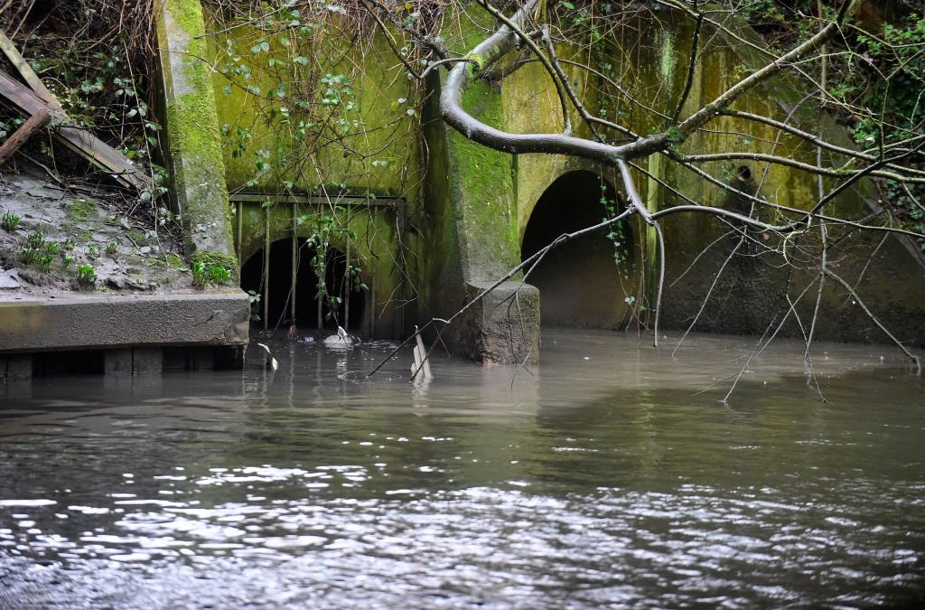 HAVERFORDWEST, WALES - FEBRUARY 4: A general view of Welsh water's discharge pipe from the sewerage treatment works into the River Cleddau on February 4, 2025 in Haverfordwest, Wales. (Photo by Rebecca Naden/Getty Images)