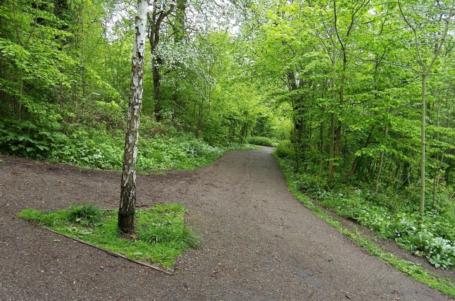 A view of Haden Hill Park in Cradley Heath, West Midlands