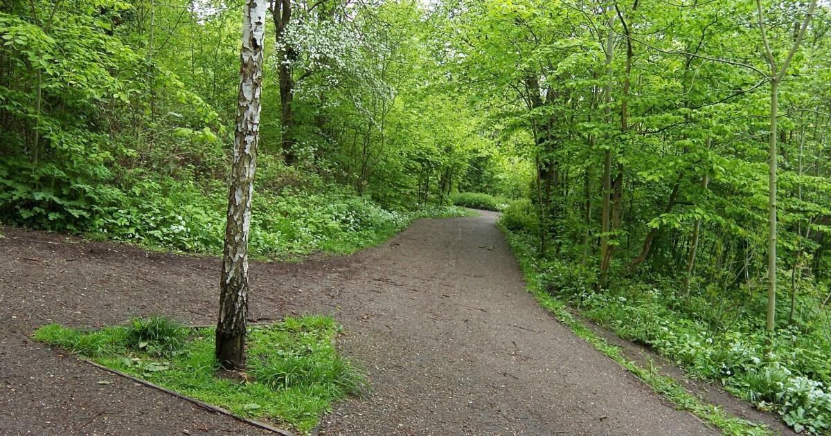 Urgent manhunt launched after boy, 4, abducted in park in front of mother | News UK