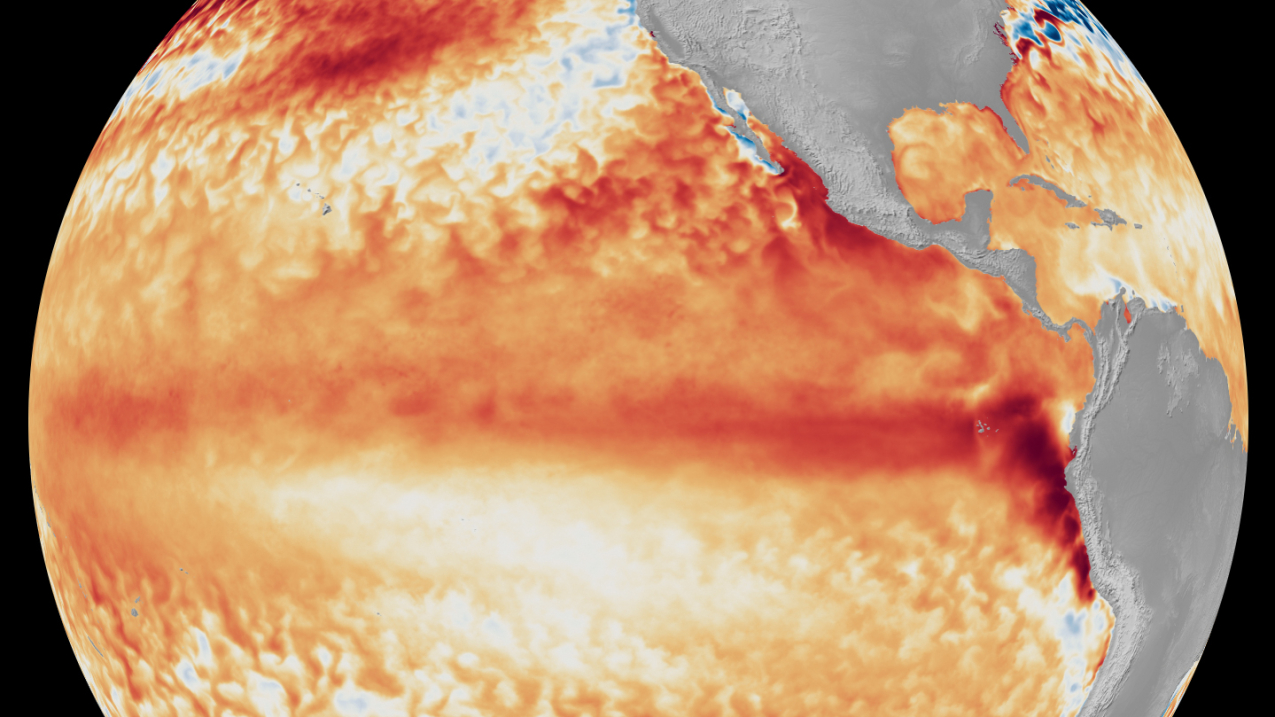 An animation using a globe depicting changes in sea surface temperatures (red for warmer, blue for cooler) in tropical Pacific Ocean.