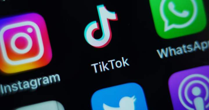 Ottawa unveils plan to ban social media for youth — but not AI chatbots - National
