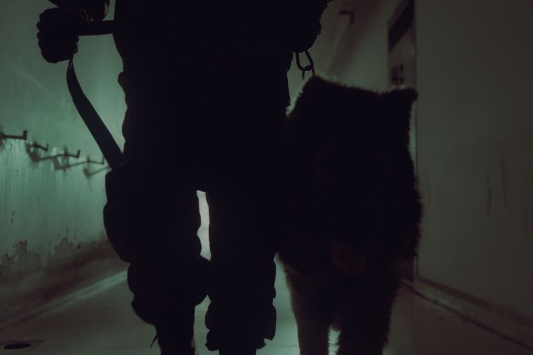 Soldier and dog