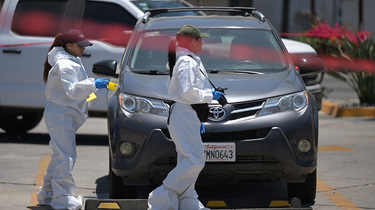Forensic workers inspect a car where a body was allegedly found at a parking lot close to Caliente stadium, where Iran's national football team trains, in Tijuana, Baja California, Mexico on June 12, 2026.