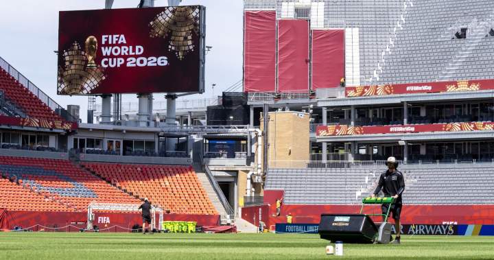 Foreign officers to help Toronto cops manage international fans during FIFA World Cup