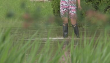 Montreal South Shore among hardest hit by flooding - CTV News