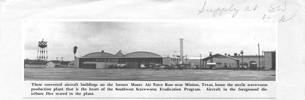 The photo caption reads, "These converted aircraft buildings on the Former Moore Air Force Base near Mission, Texas, house the sterile screwworm production plant that is the heart of the Southwest Screwworm Eradication Program. Aircraft in the foreground distribute flies reared in the plant."