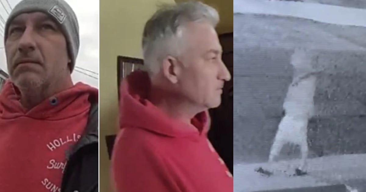 Man accused of killing Mississauga parents seen in Toronto