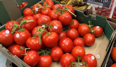 ‘It’s insane’: Groceries keep squeezing Canadians as tomato prices spike 45%, StatCan says - CTV News