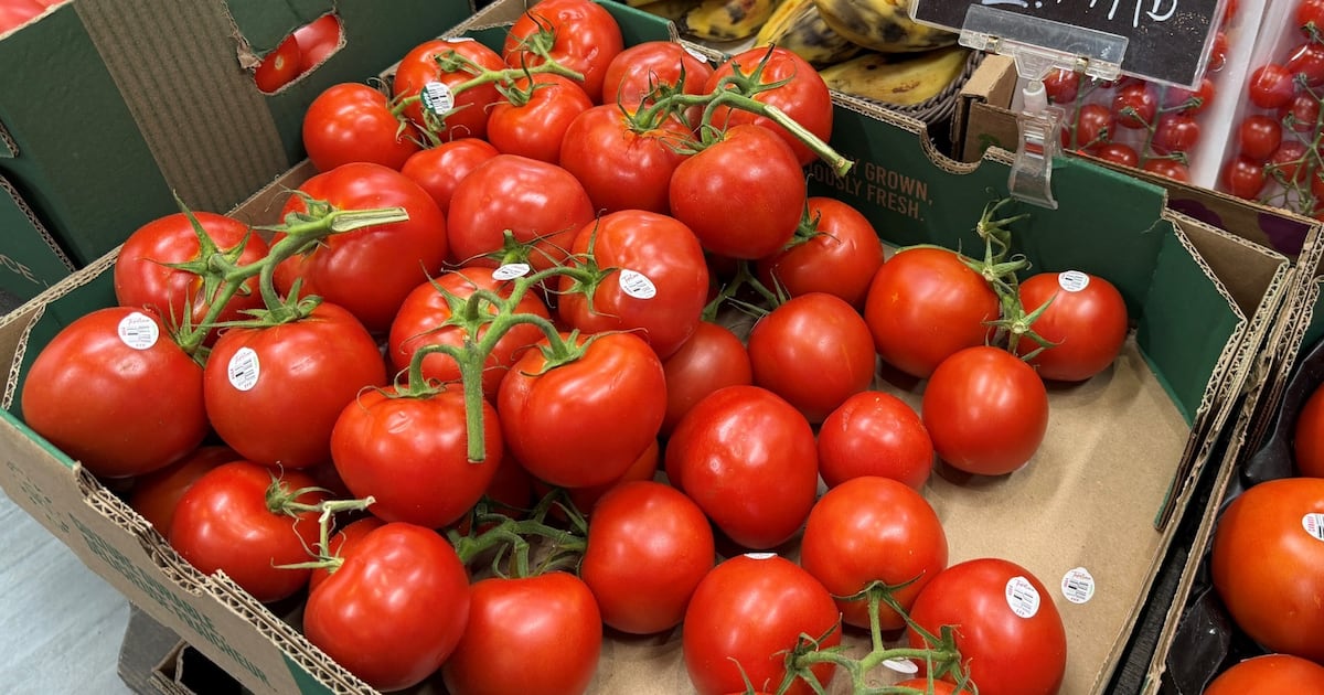‘It’s insane’: Groceries keep squeezing Canadians as tomato prices spike 45%, StatCan says - CTV News