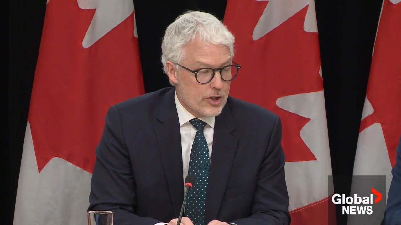 Click to play video: 'Social media issues should be fixed before considering ban for youth: Canada’s privacy commissioner'