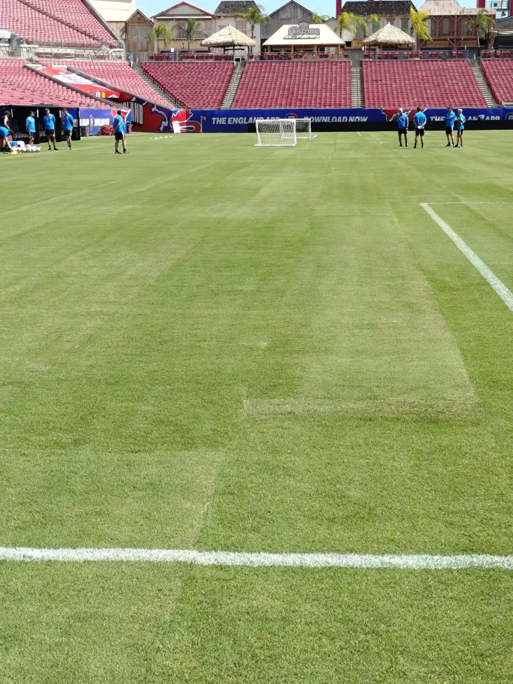 Raymond James Stadium pitch before England v New Zealand friendly.